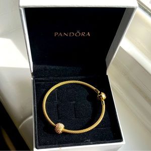 PANDORA ROSE 14K Gold Moment Charm Clasp Bangle Bracelet 587132.
